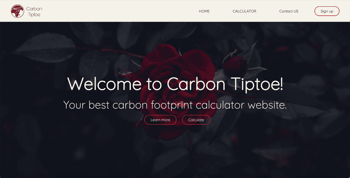 A Design Web for CS345